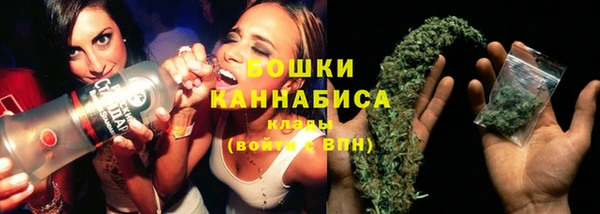 дмт Рославль