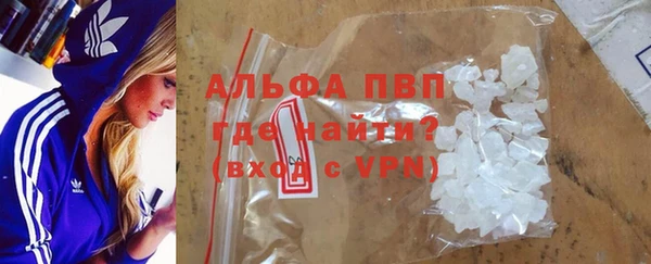 стафф Алзамай