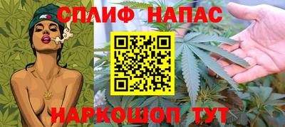 СК Пенза