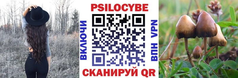 дарнет шоп  omg ссылки  Галлюциногенные грибы Magic Shrooms  Биробиджан 