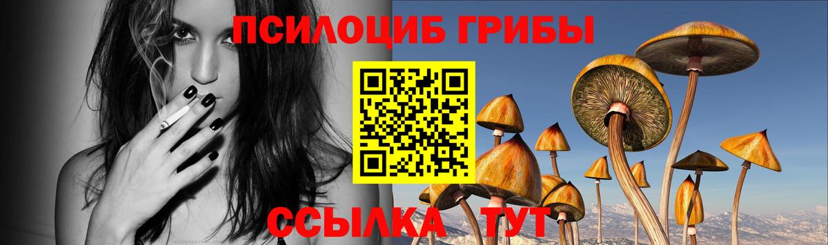 Галлюциногенные грибы GOLDEN TEACHER  Псилоцибиновые грибы мухоморы  Биробиджан  Вход с VPN 
